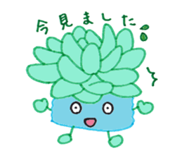 succulent plants's family sticker #11708628