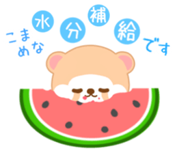 Raccoon Punyan summer sticker #11711249