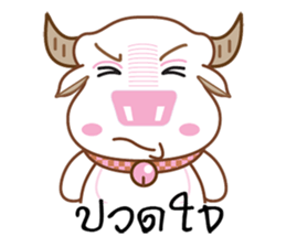 Bufallo with sticker #11712277