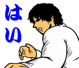 Judo circle 1 sticker #11717164