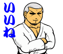 Judo circle 1 sticker #11717176