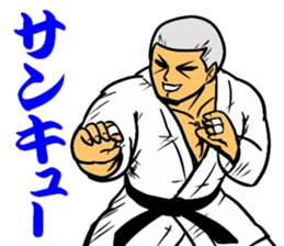 Judo circle 1 sticker #11717184