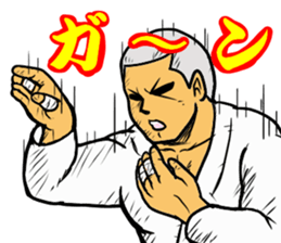 Judo circle 1 sticker #11717192