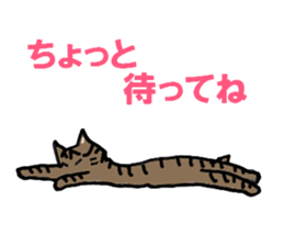 Friendly cats, Jill and Mell sticker #11722908