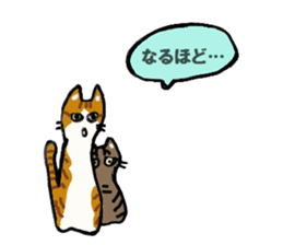 Friendly cats, Jill and Mell sticker #11722910