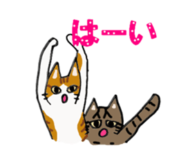 Friendly cats, Jill and Mell sticker #11722912