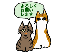 Friendly cats, Jill and Mell sticker #11722917