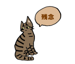 Friendly cats, Jill and Mell sticker #11722923