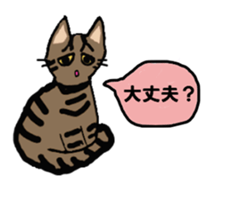 Friendly cats, Jill and Mell sticker #11722926