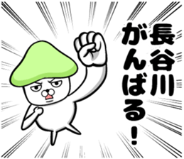 Hasegawa of sticker sticker #11723436