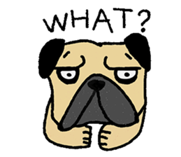 I just want to be a pug sticker #11723456