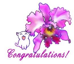 Flowers with a cat sticker #11723612