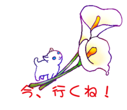 Flowers with a cat sticker #11723618