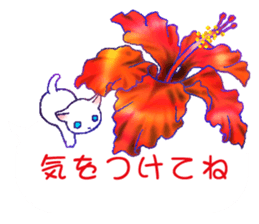Flowers with a cat sticker #11723624