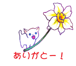 Flowers with a cat sticker #11723625