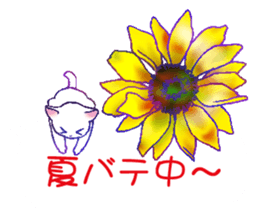Flowers with a cat sticker #11723634