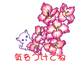 Flowers with a cat sticker #11723635