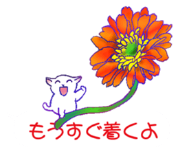Flowers with a cat sticker #11723637