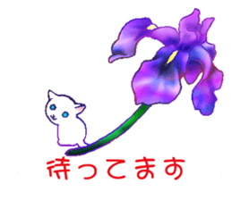 Flowers with a cat sticker #11723643
