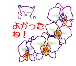 Flowers with a cat sticker #11723645