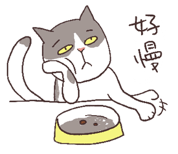 Alison and Meow 's simple daily sticker #11723681