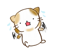 Cat in the man sticker #11725304