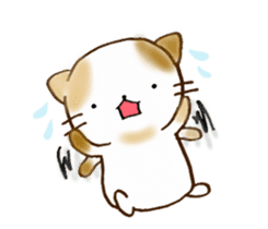 Cat in the man sticker #11725304