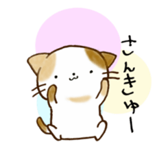 Cat in the man sticker #11725309