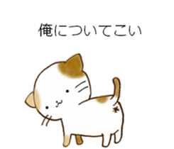 Cat in the man sticker #11725315