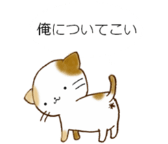 Cat in the man sticker #11725315