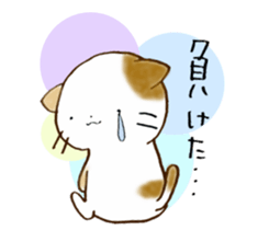 Cat in the man sticker #11725325