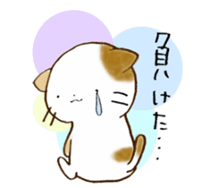 Cat in the man sticker #11725325