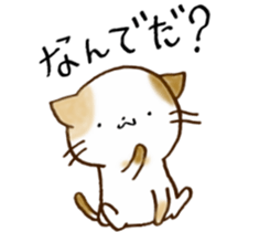 Cat in the man sticker #11725327