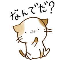 Cat in the man sticker #11725327