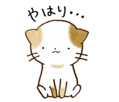 Cat in the man sticker #11725329