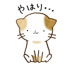 Cat in the man sticker #11725329