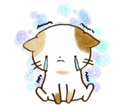 Cat in the man sticker #11725335