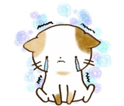 Cat in the man sticker #11725335