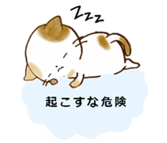 Cat in the man sticker #11725336