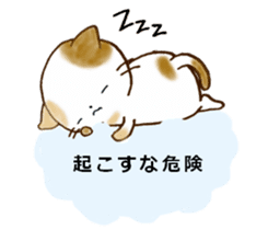 Cat in the man sticker #11725336