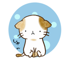 Cat in the man sticker #11725342