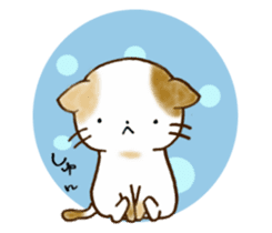 Cat in the man sticker #11725342