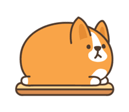 Belly Corgi sticker #11727585