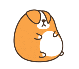 Belly Corgi sticker #11727586