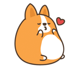 Belly Corgi sticker #11727587