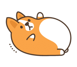 Belly Corgi sticker #11727588