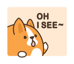 Belly Corgi sticker #11727593