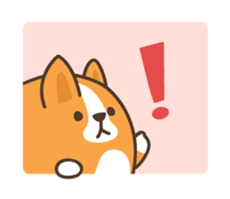 Belly Corgi sticker #11727595