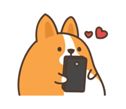Belly Corgi sticker #11727616