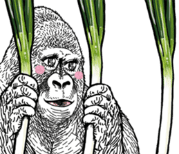 Gorilla gorilla gorilla 0 sticker #11728585